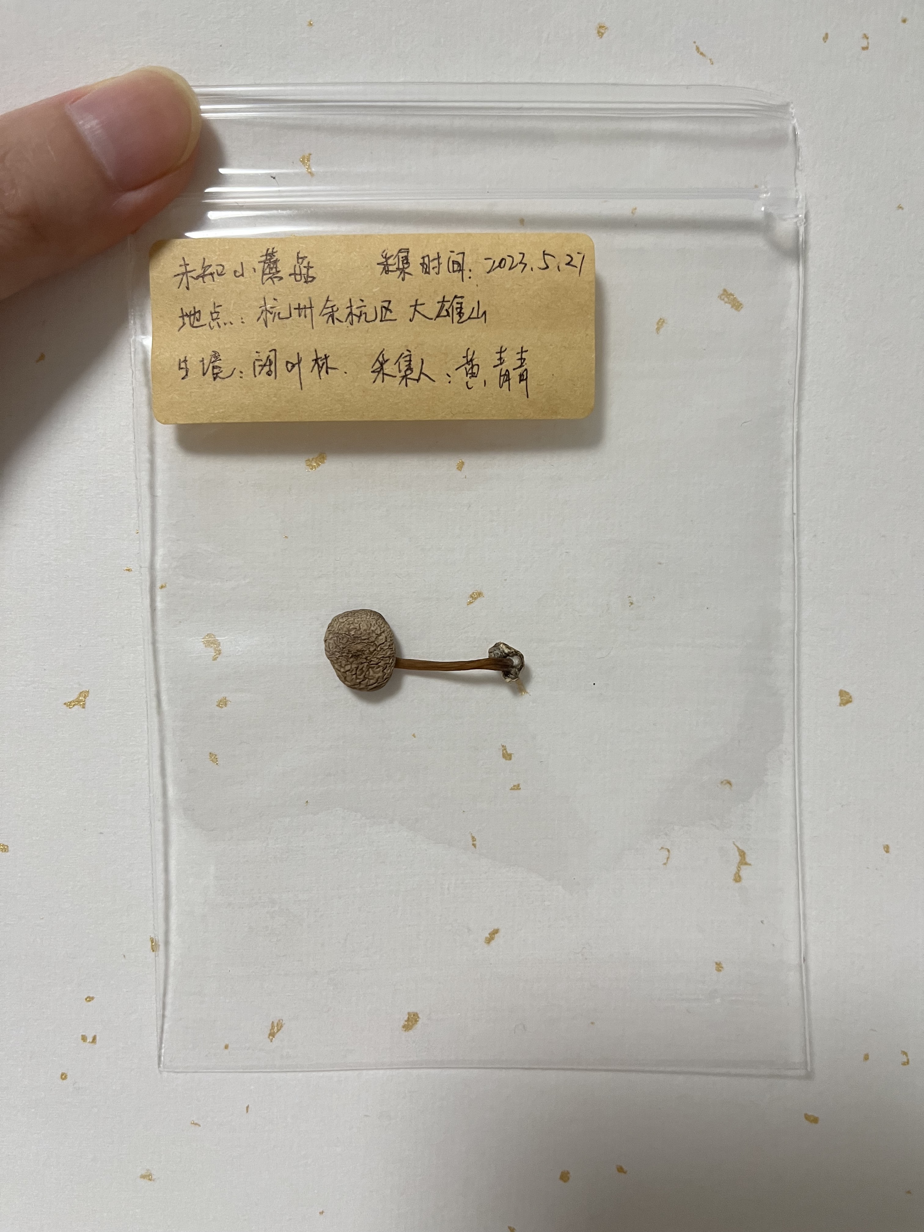 标本图片