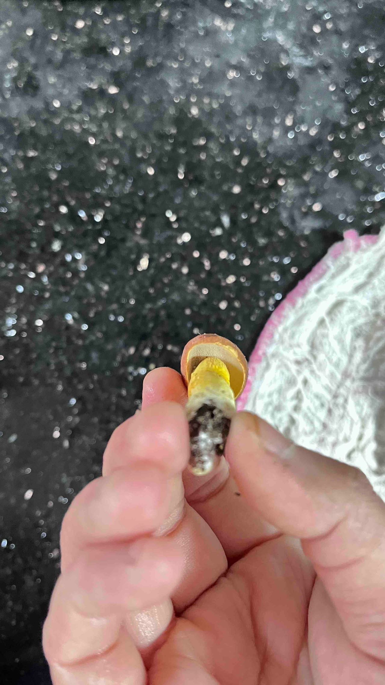 标本图片