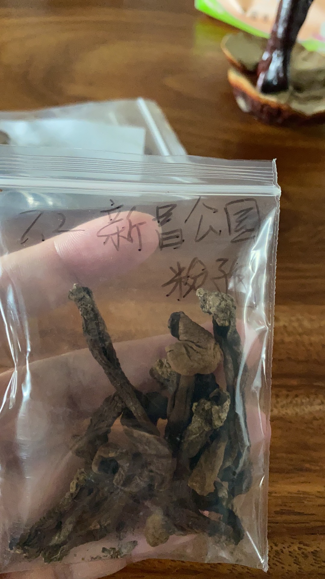 标本图片