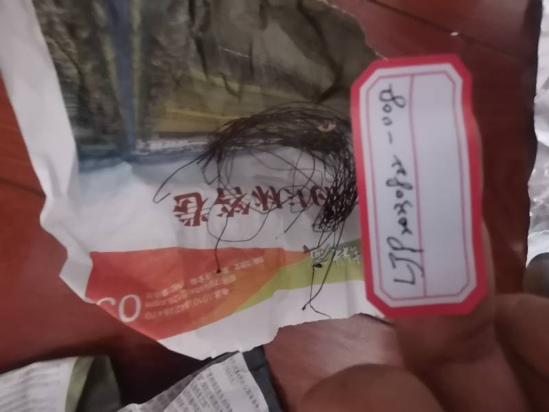 标本图片