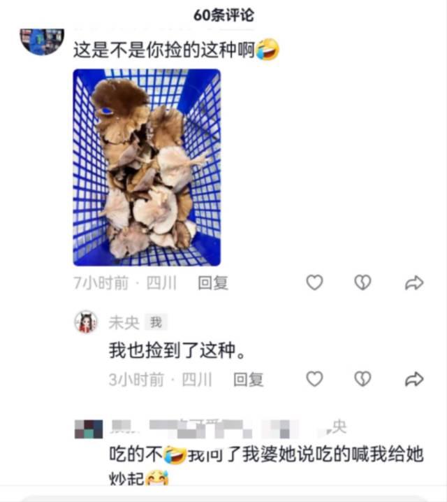 标本图片