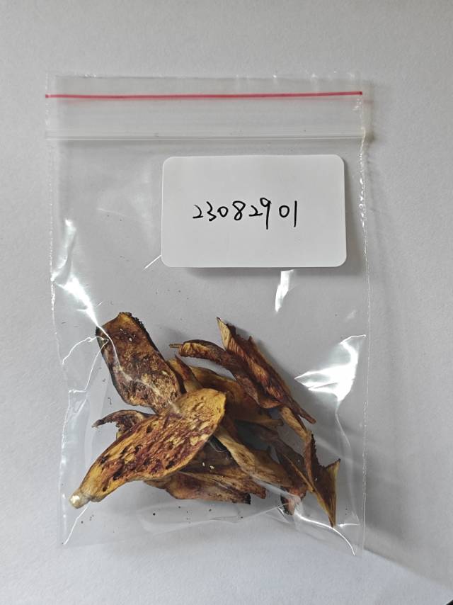标本图片