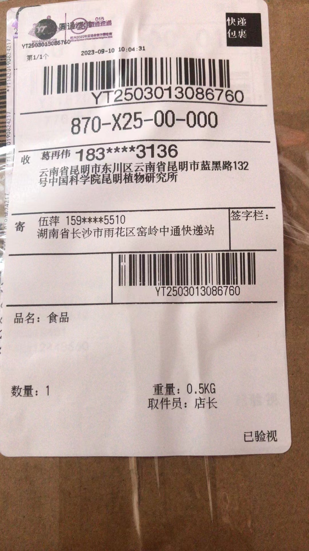 标本图片