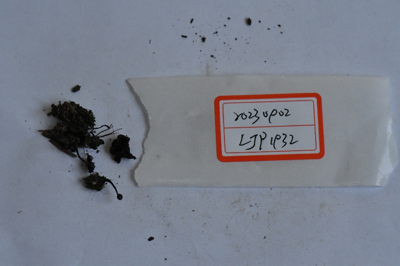 None