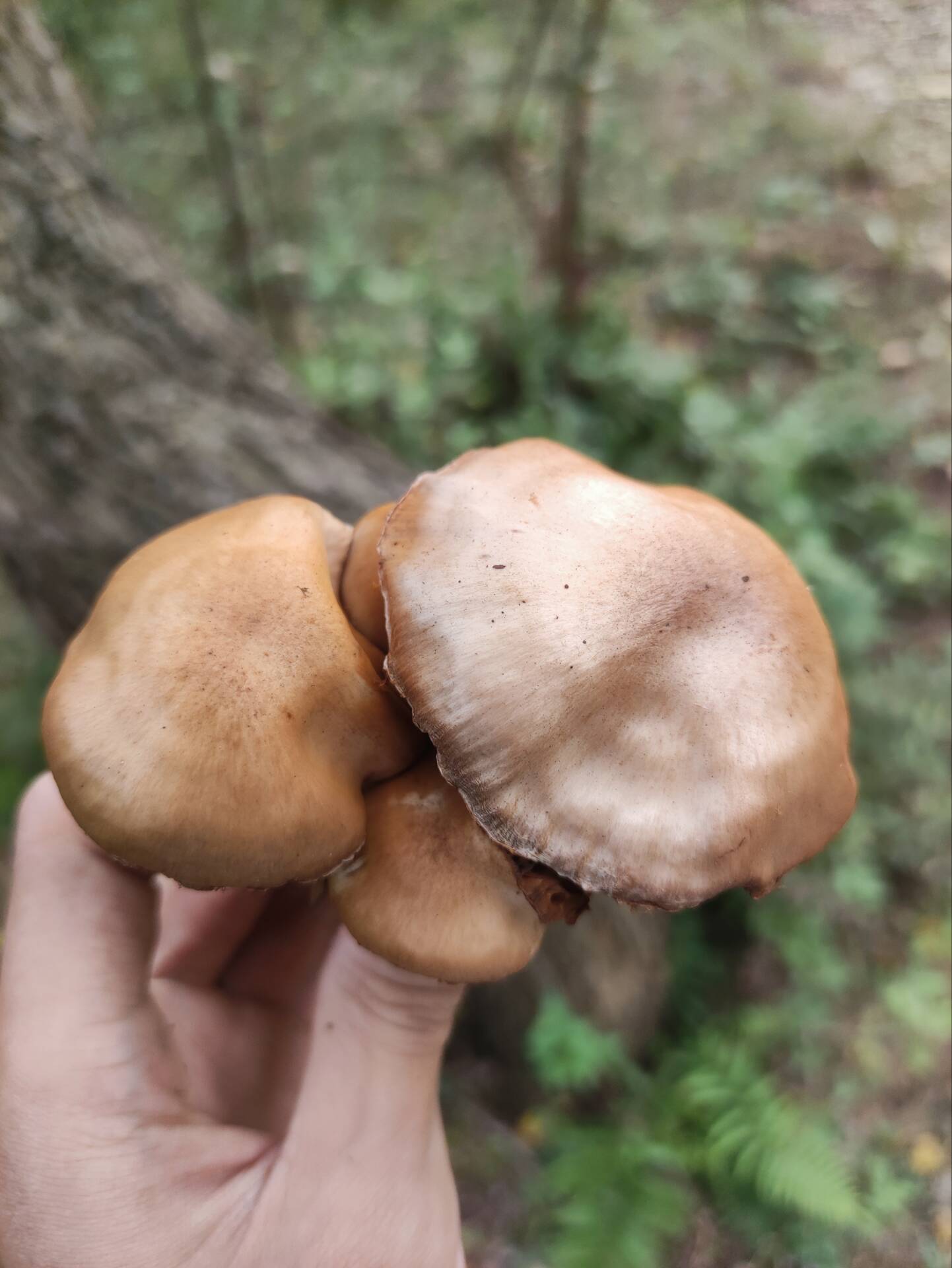暂无