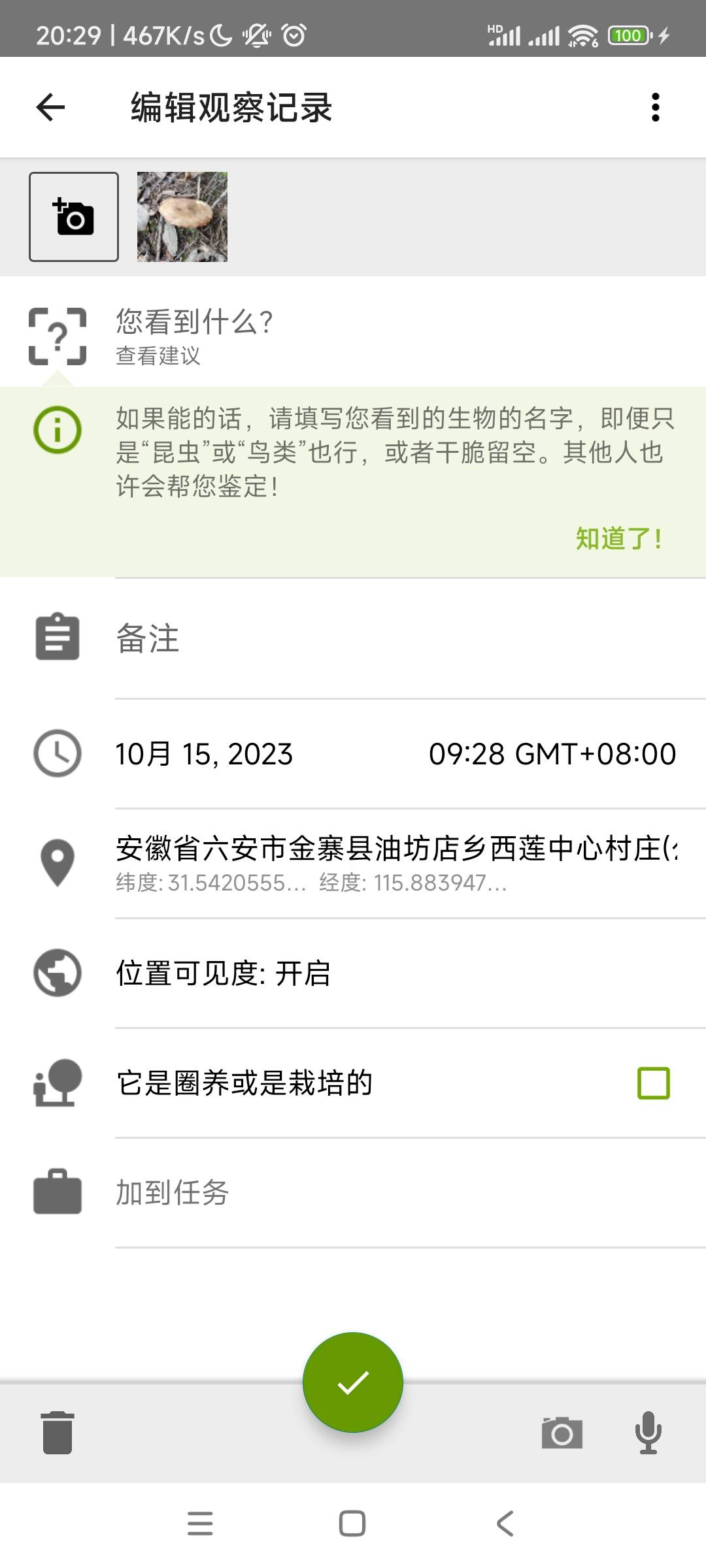 标本图片