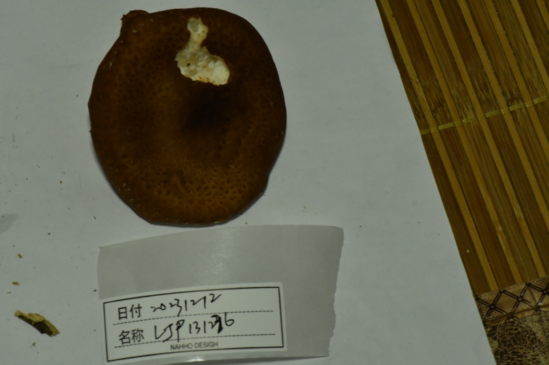 香菇