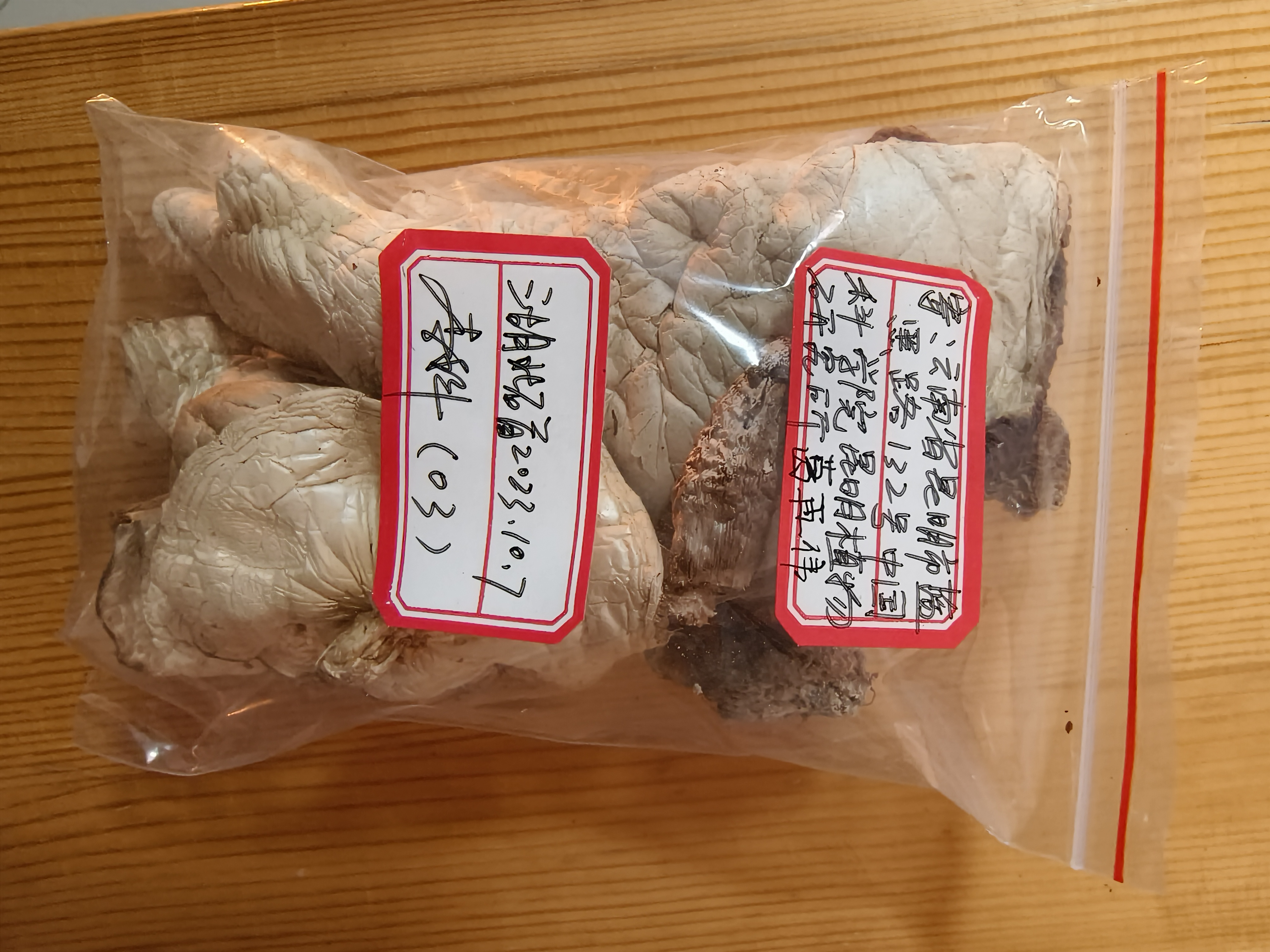 标本图片