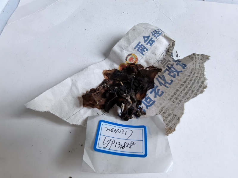 蔷薇色暗银耳