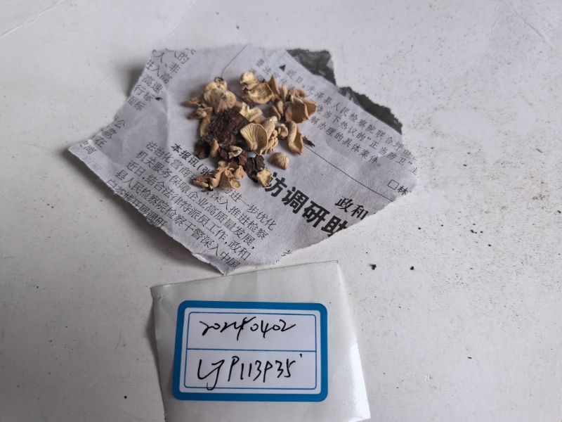 微菇一种