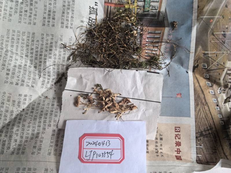 标本图片