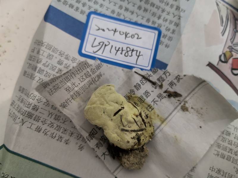 标本图片