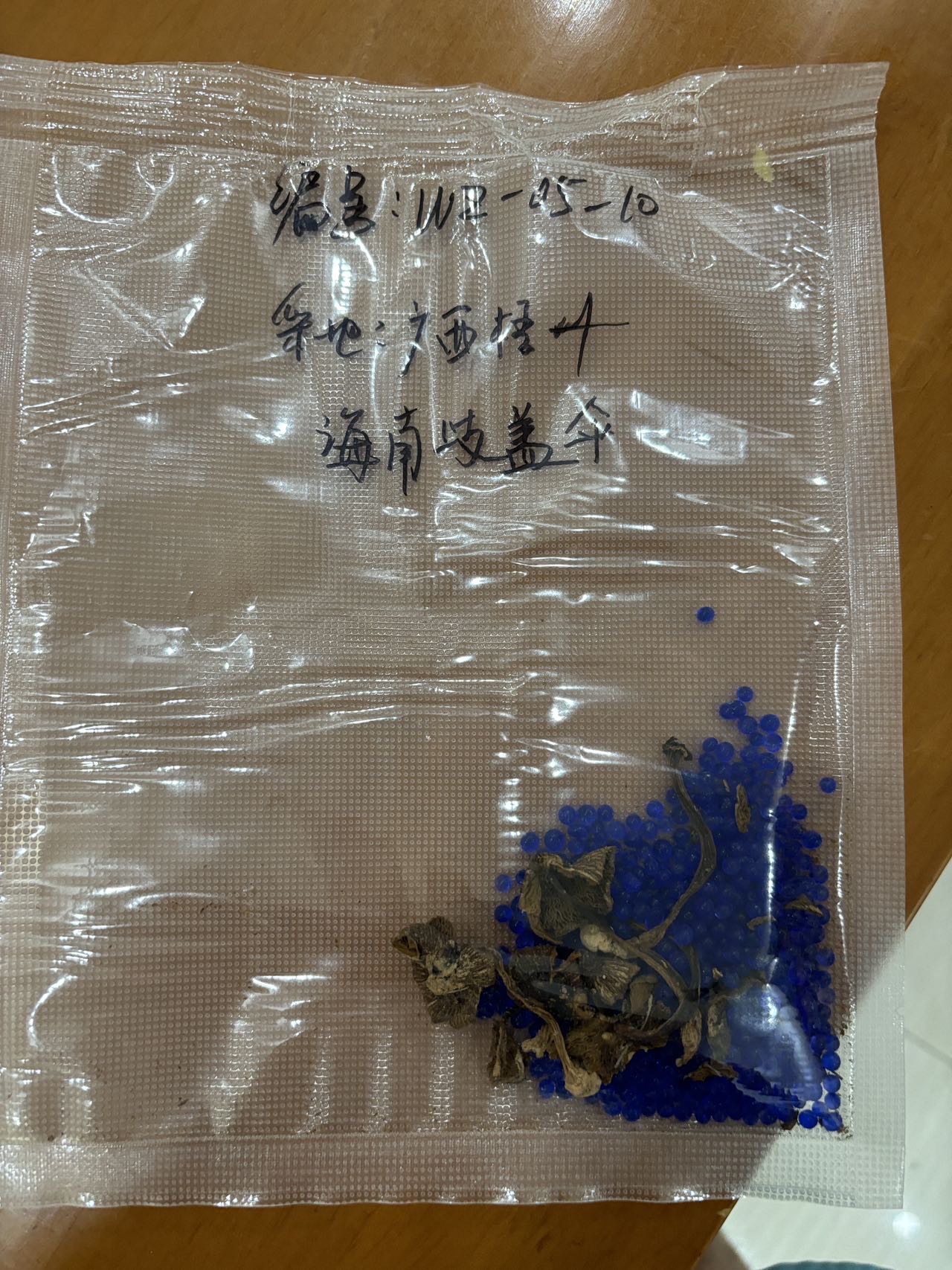 标本图片