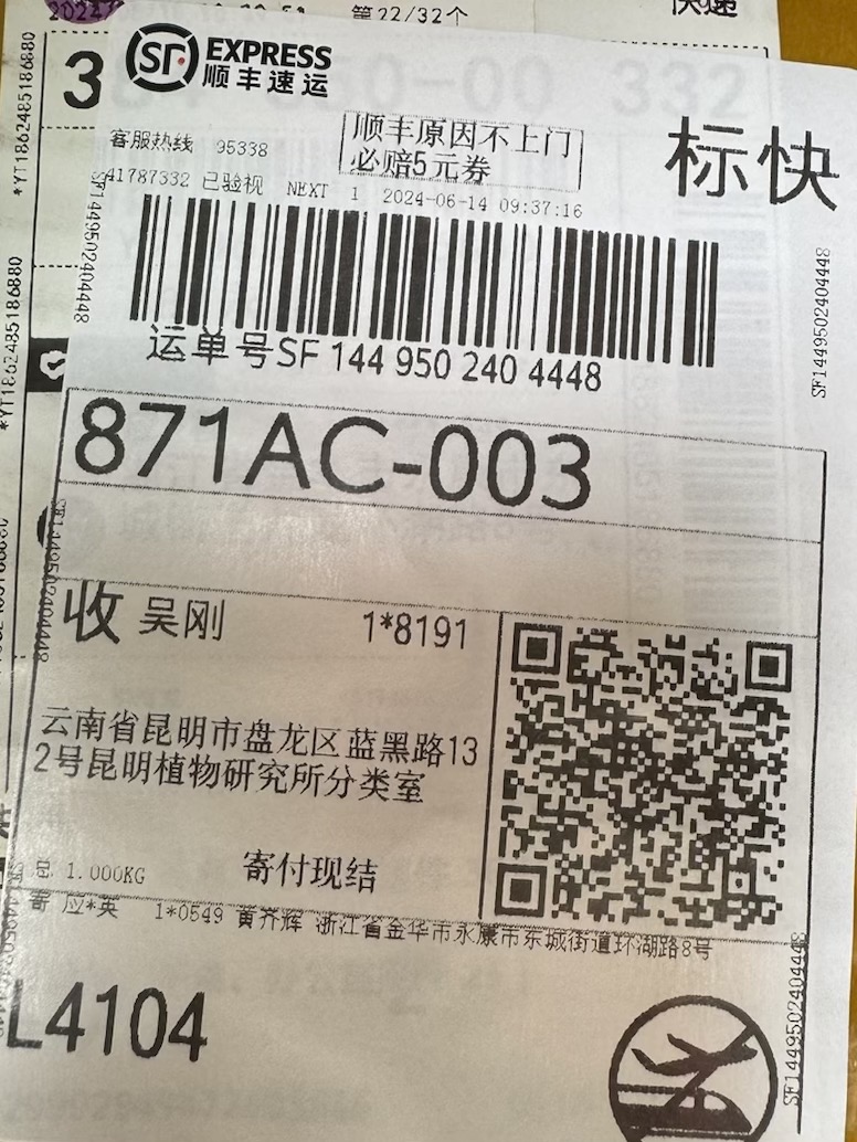 标本图片