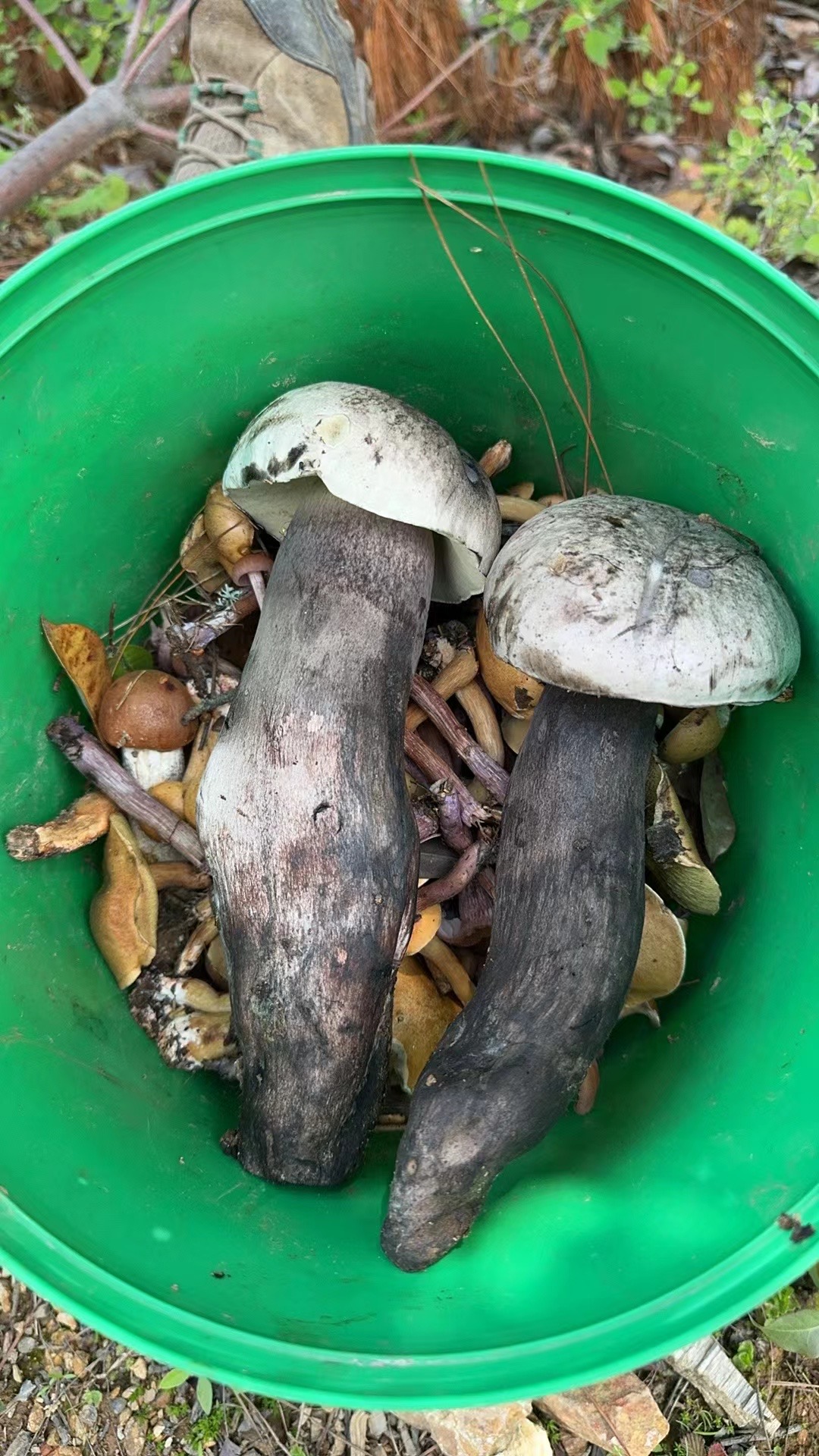 暂无