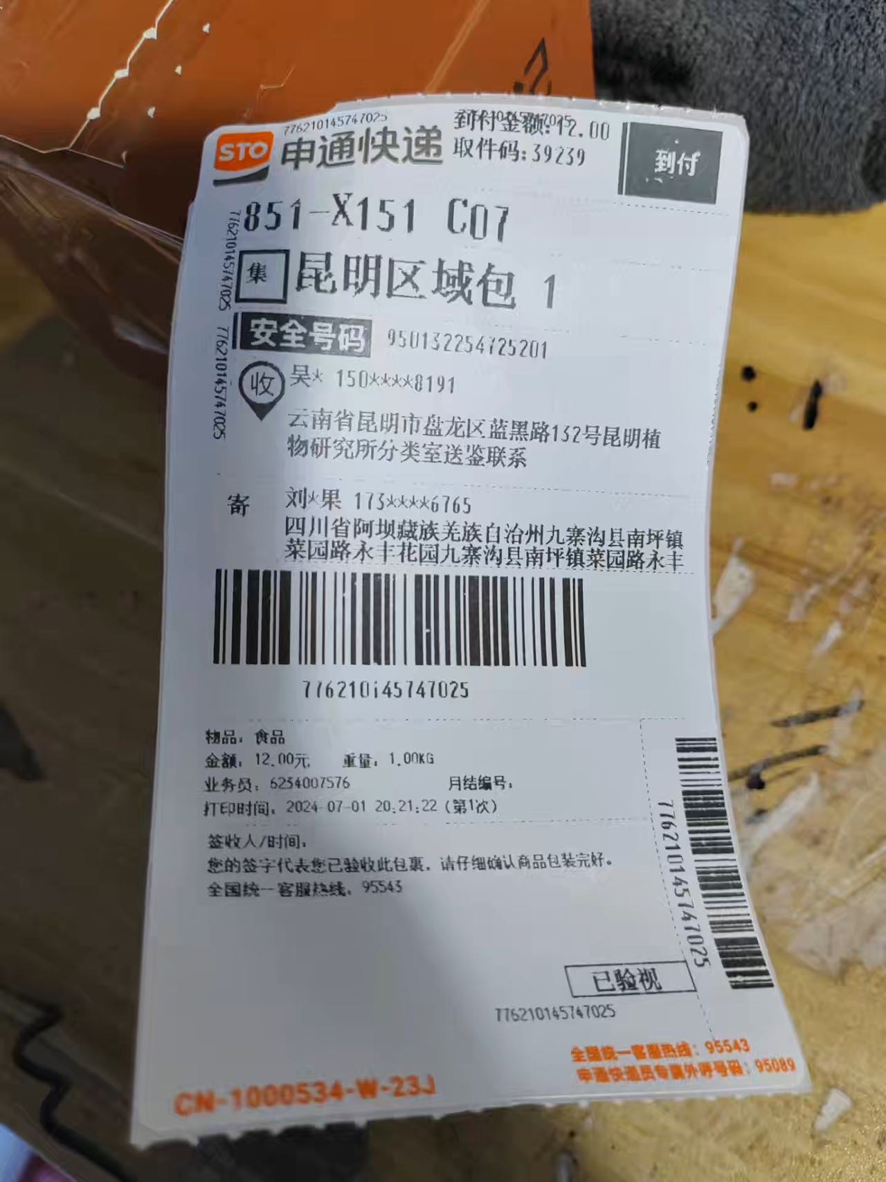 标本图片