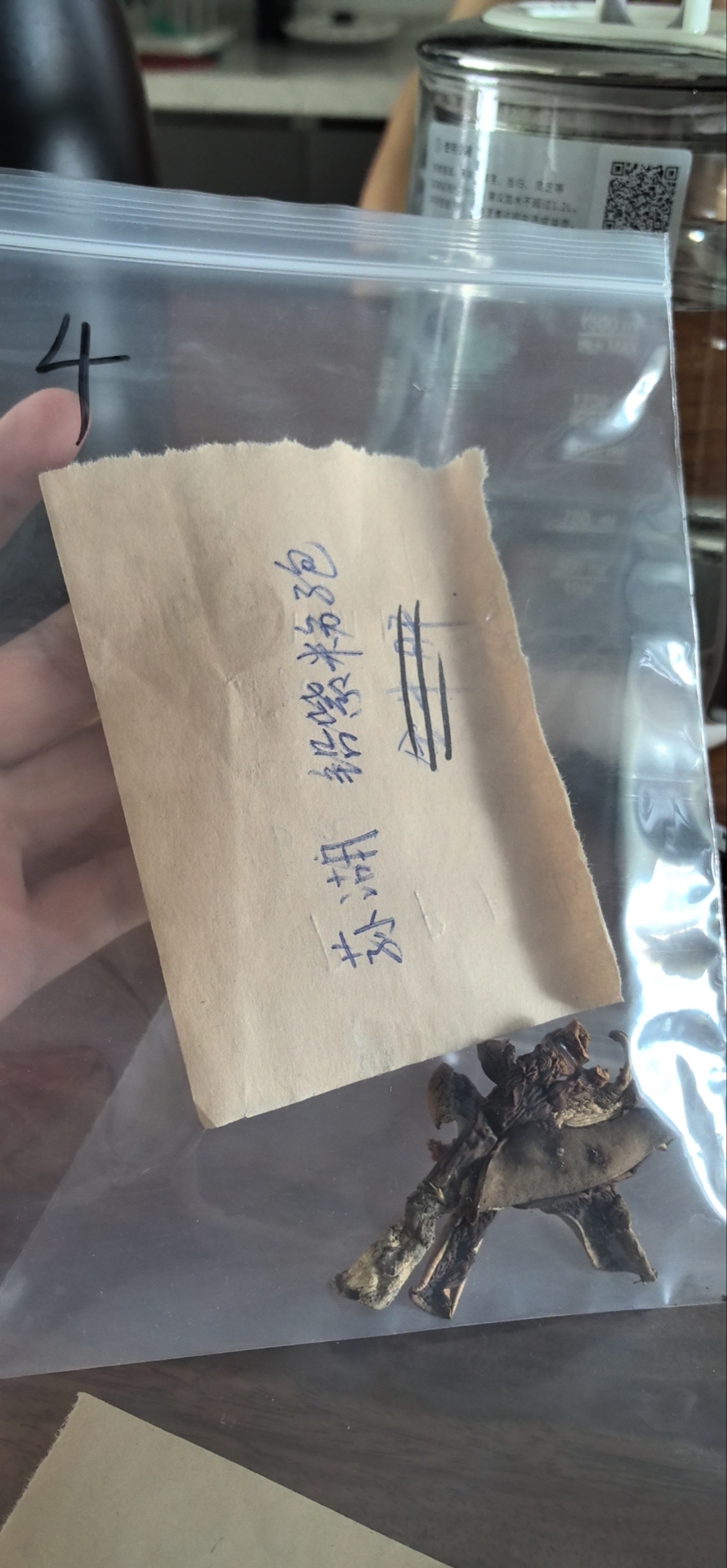 标本图片