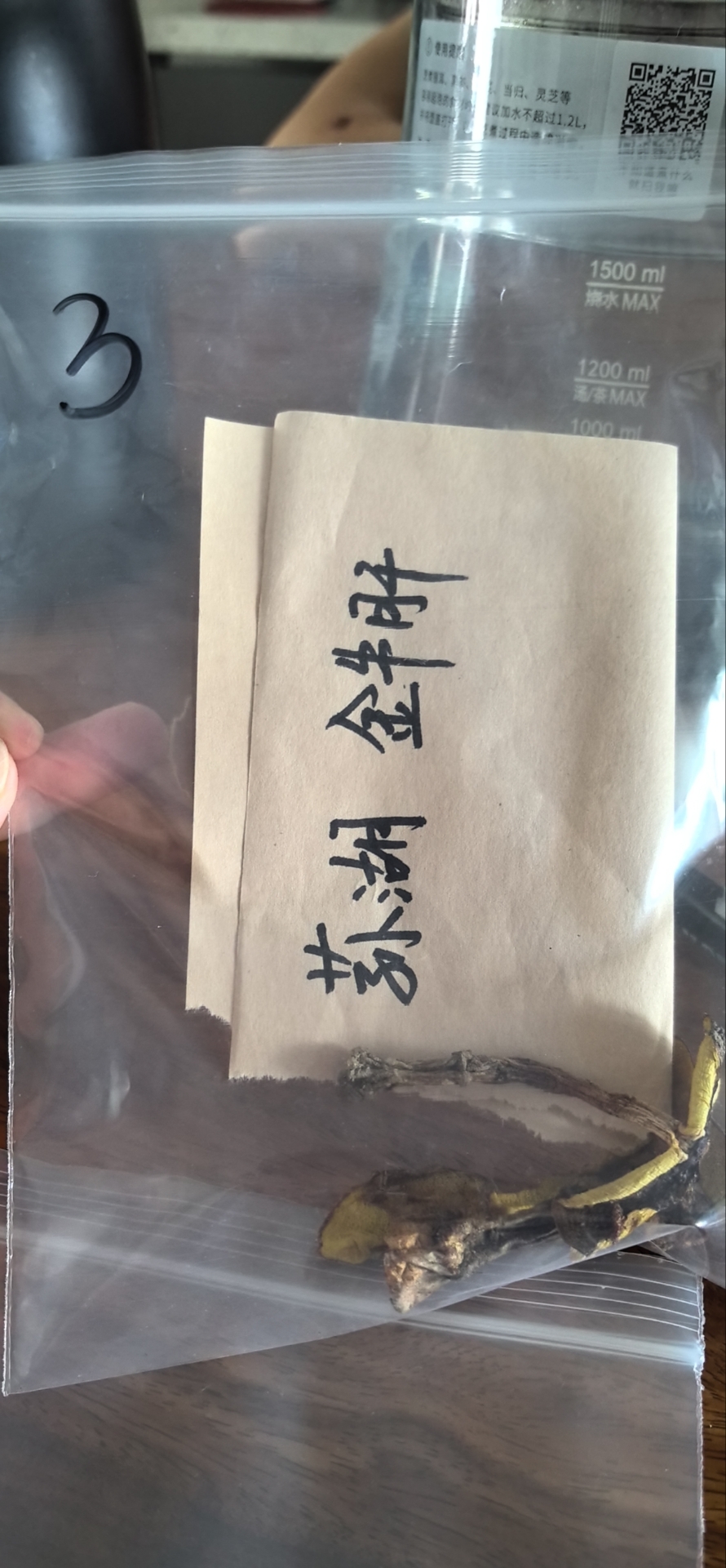 标本图片