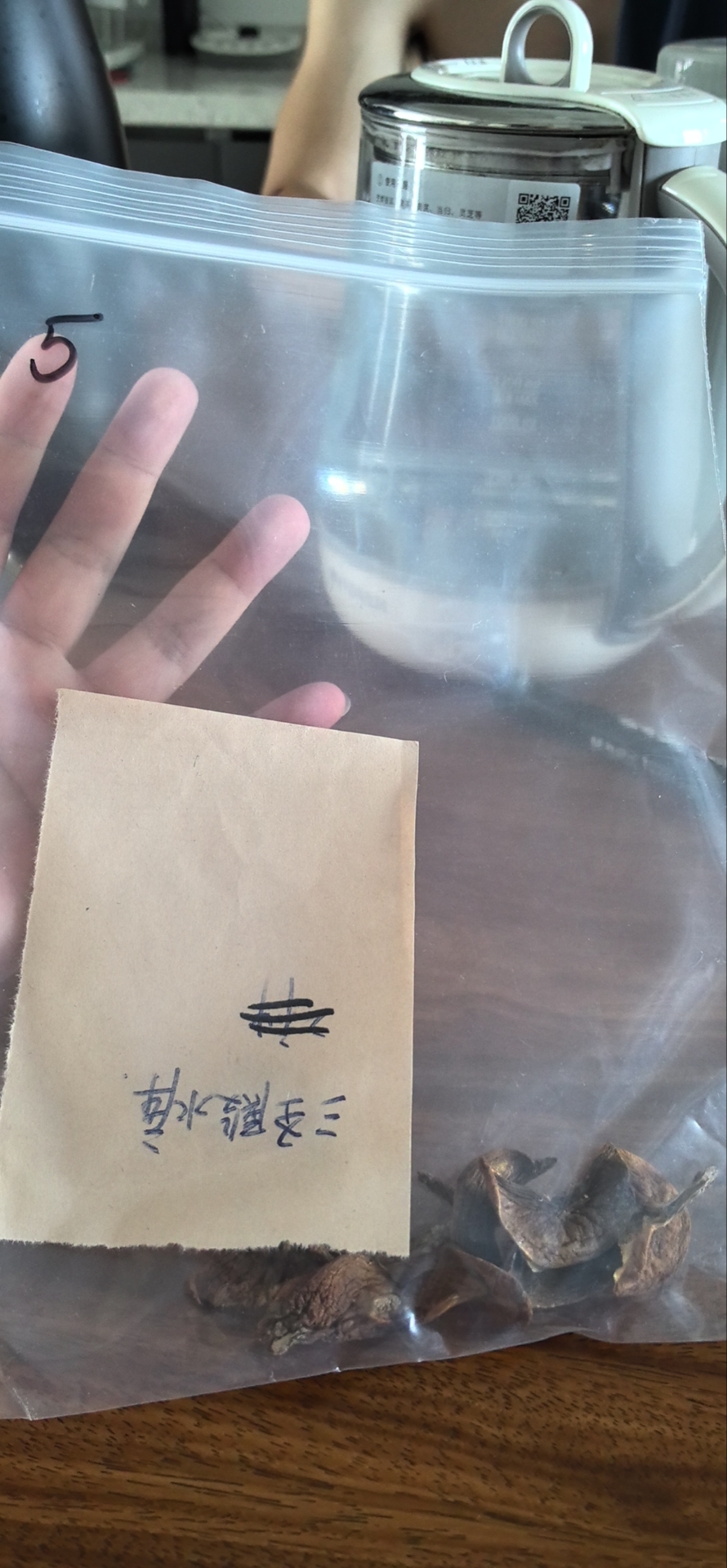 标本图片