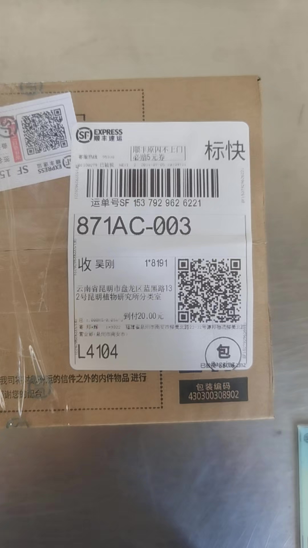标本图片