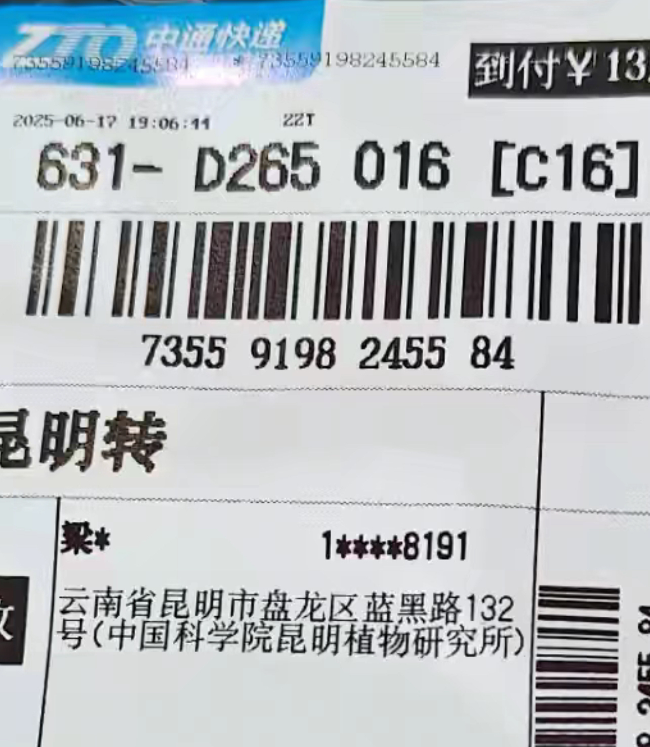 标本图片