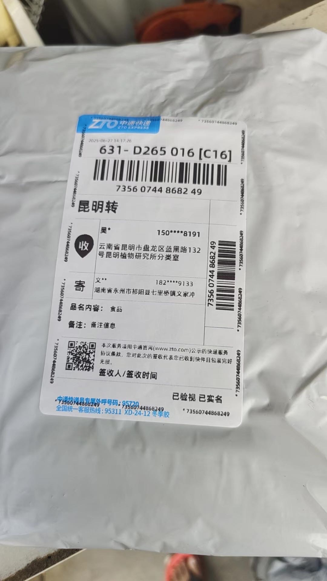 标本图片